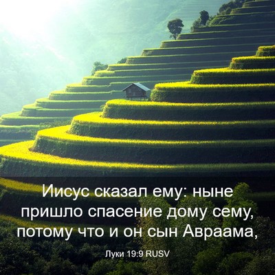 Picture 03 - Луки 19:9 RUSV - Иисус сказал ему: ныне - Bible Verse Picture