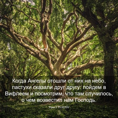 Picture 03 - Луки 2:15 RUSV - Когда Ангелы отошли от них - Bible Verse Picture