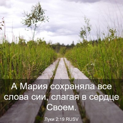 Picture 03 - Луки 2:19 RUSV - А Мария сохраняла все - Bible Verse Picture