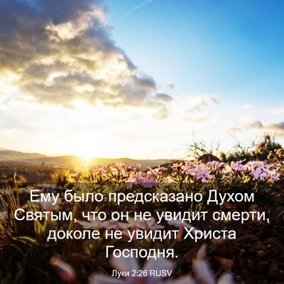 Picture 03 - Луки 2:26 RUSV - Ему было предсказано Духом - Bible Verse Picture