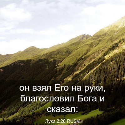 Picture 03 - Луки 2:28 RUSV - он взял Его на руки, - Bible Verse Picture