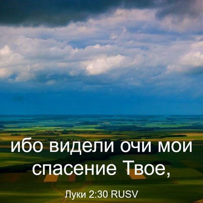 Picture 03 - Луки 2:30 RUSV - ибо видели очи мои - Bible Verse Picture