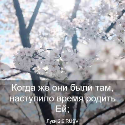 Picture 03 - Луки 2:6 RUSV - Когда же они были там, - Bible Verse Picture