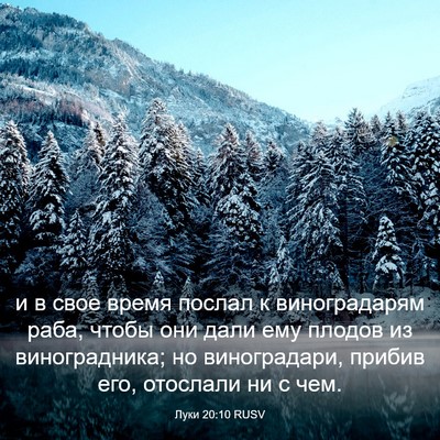 Picture 03 - Луки 20:10 RUSV - и в свое время послал к - Bible Verse Picture
