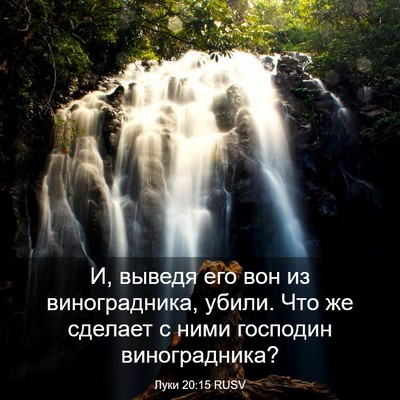 Picture 03 - Луки 20:15 RUSV - И, выведя его вон из - Bible Verse Picture