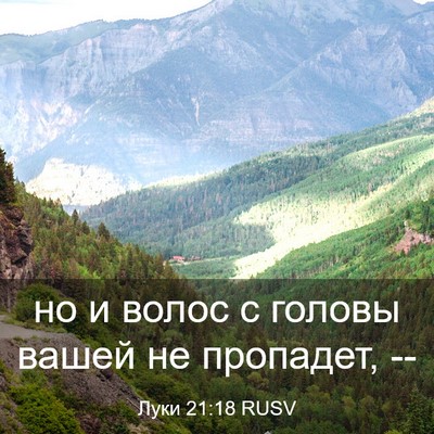 Picture 03 - Луки 21:18 RUSV - но и волос с головы вашей - Bible Verse Picture