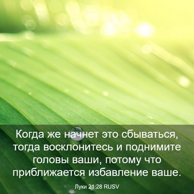 Picture 03 - Луки 21:28 RUSV - Когда же начнет это - Bible Verse Picture