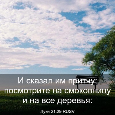 Picture 03 - Луки 21:29 RUSV - И сказал им притчу: - Bible Verse Picture