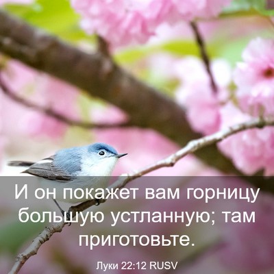 Picture 03 - Луки 22:12 RUSV - И он покажет вам горницу - Bible Verse Picture