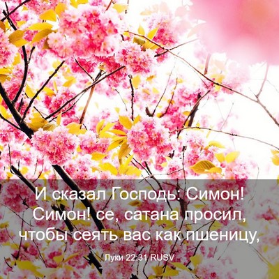 Picture 03 - Луки 22:31 RUSV - И сказал Господь: Симон! - Bible Verse Picture