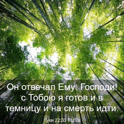 Picture 03 - Луки 22:33 RUSV - Он отвечал Ему: Господи! с - Bible Verse Picture