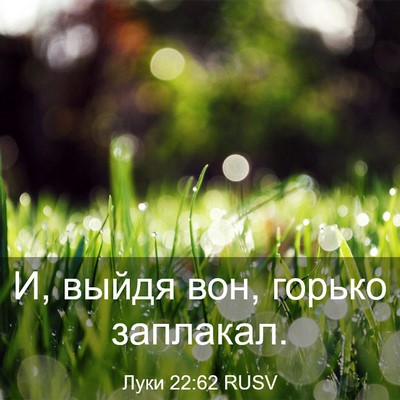 Picture 03 - Луки 22:62 RUSV - И, выйдя вон, горько - Bible Verse Picture