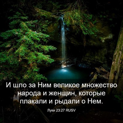 Picture 03 - Луки 23:27 RUSV - И шло за Ним великое - Bible Verse Picture