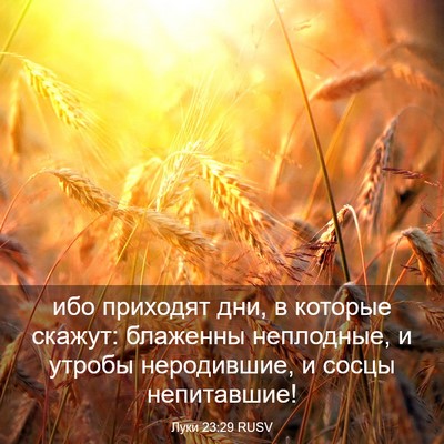 Picture 03 - Луки 23:29 RUSV - ибо приходят дни, в которые - Bible Verse Picture