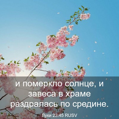 Picture 03 - Луки 23:45 RUSV - и померкло солнце, и завеса - Bible Verse Picture