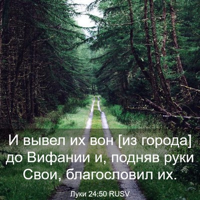 Picture 03 - Луки 24:50 RUSV - И вывел их вон [из города] - Bible Verse Picture