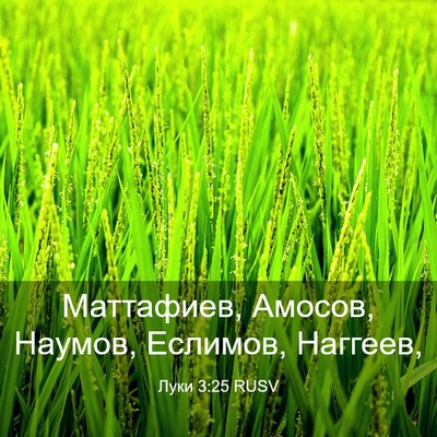 Picture 03 - Луки 3:25 RUSV - Маттафиев, Амосов, Наумов, - Bible Verse Picture