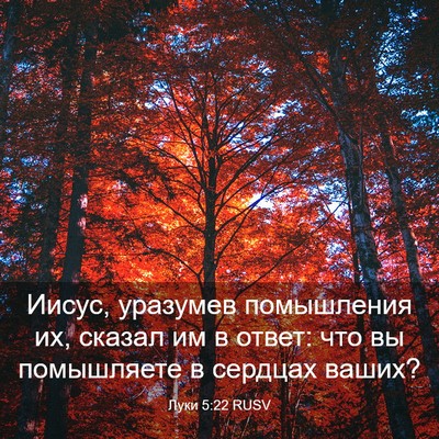 Picture 03 - Луки 5:22 RUSV - Иисус, уразумев помышления - Bible Verse Picture
