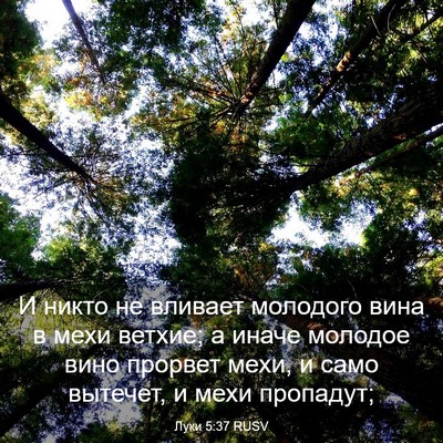 Picture 03 - Луки 5:37 RUSV - И никто не вливает - Bible Verse Picture