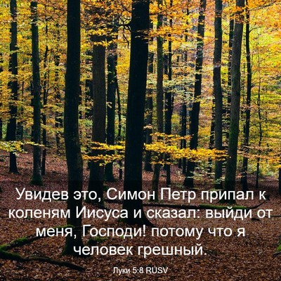 Picture 03 - Луки 5:8 RUSV - Увидев это, Симон Петр - Bible Verse Picture