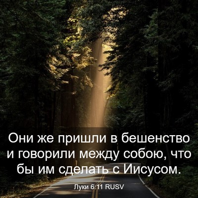 Picture 03 - Луки 6:11 RUSV - Они же пришли в бешенство и - Bible Verse Picture