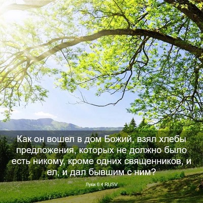 Picture 03 - Луки 6:4 RUSV - Как он вошел в дом Божий, - Bible Verse Picture