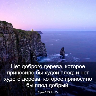 Picture 03 - Луки 6:43 RUSV - Нет доброго дерева, - Bible Verse Picture