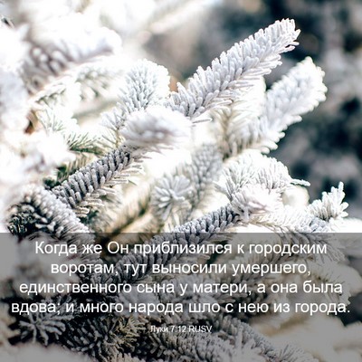 Picture 03 - Луки 7:12 RUSV - Когда же Он приблизился к - Bible Verse Picture