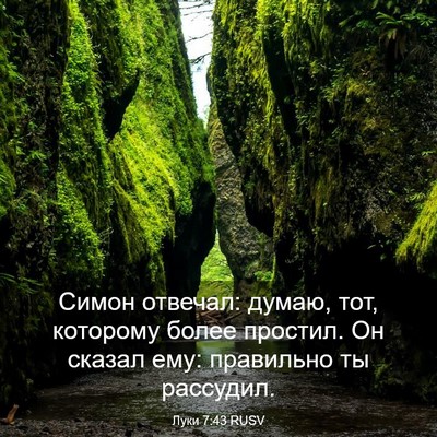 Picture 03 - Луки 7:43 RUSV - Симон отвечал: думаю, тот, - Bible Verse Picture