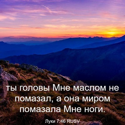 Picture 03 - Луки 7:46 RUSV - ты головы Мне маслом не - Bible Verse Picture