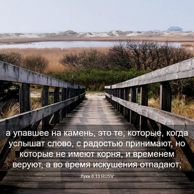 Picture 03 - Луки 8:13 RUSV - а упавшее на камень, это те, - Bible Verse Picture