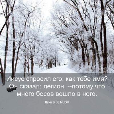 Picture 03 - Луки 8:30 RUSV - Иисус спросил его: как тебе - Bible Verse Picture