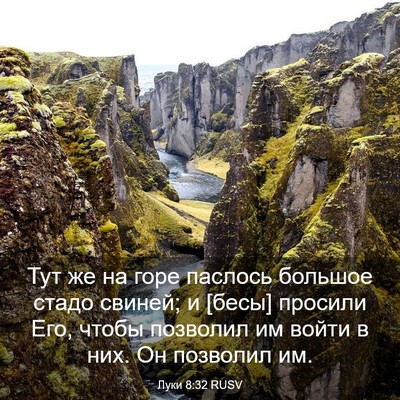 Picture 03 - Луки 8:32 RUSV - Тут же на горе паслось - Bible Verse Picture