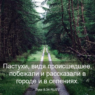 Picture 03 - Луки 8:34 RUSV - Пастухи, видя происшедшее, - Bible Verse Picture
