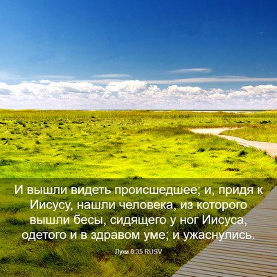 Picture 03 - Луки 8:35 RUSV - И вышли видеть - Bible Verse Picture