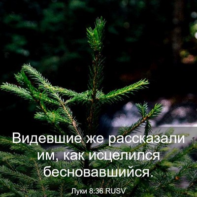 Picture 03 - Луки 8:36 RUSV - Видевшие же рассказали им, - Bible Verse Picture
