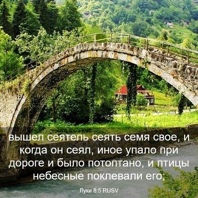 Picture 03 - Луки 8:5 RUSV - вышел сеятель сеять семя - Bible Verse Picture