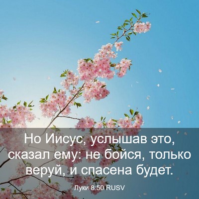Picture 03 - Луки 8:50 RUSV - Но Иисус, услышав это, - Bible Verse Picture
