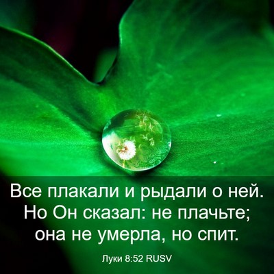 Picture 03 - Луки 8:52 RUSV - Все плакали и рыдали о ней. - Bible Verse Picture
