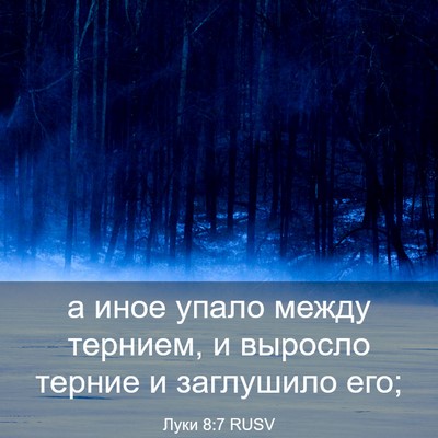 Picture 03 - Луки 8:7 RUSV - а иное упало между тернием, - Bible Verse Picture
