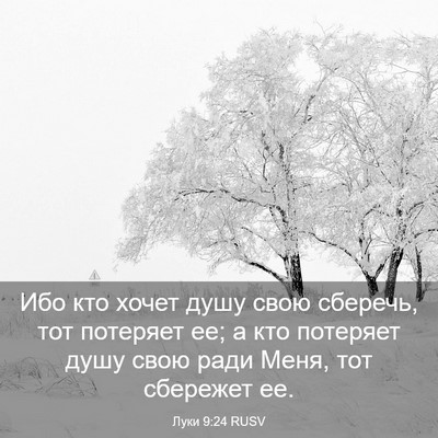 Picture 03 - Луки 9:24 RUSV - Ибо кто хочет душу свою - Bible Verse Picture