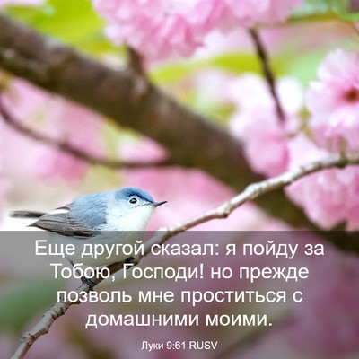 Picture 03 - Луки 9:61 RUSV - Еще другой сказал: я пойду - Bible Verse Picture