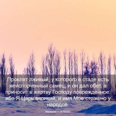 Picture 03 - Малахия 1:14 RUSV - Проклят лживый, у которого - Bible Verse Picture