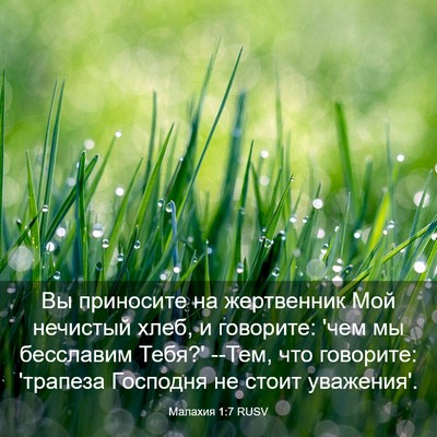 Picture 03 - Малахия 1:7 RUSV - Вы приносите на жертвенник - Bible Verse Picture