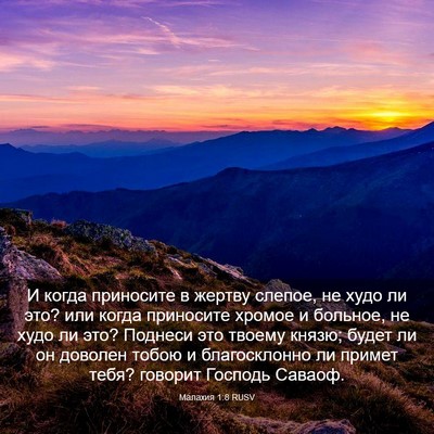 Picture 03 - Малахия 1:8 RUSV - И когда приносите в жертву - Bible Verse Picture