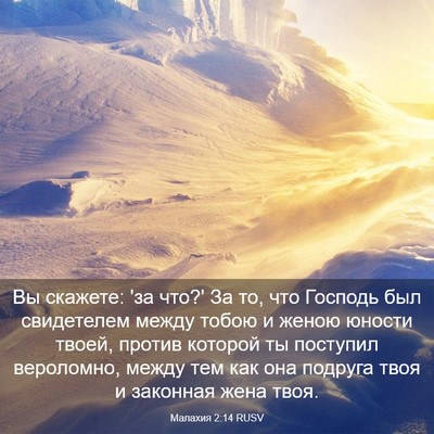 Picture 03 - Малахия 2:14 RUSV - Вы скажете: 'за что?' За то, - Bible Verse Picture