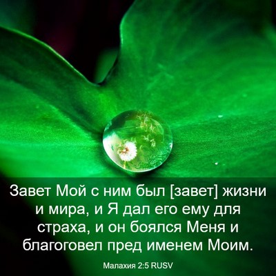 Picture 03 - Малахия 2:5 RUSV - Завет Мой с ним был [завет] - Bible Verse Picture