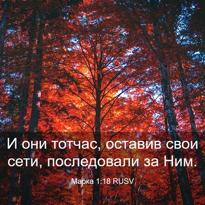 Picture 03 - Марка 1:18 RUSV - И они тотчас, оставив свои - Bible Verse Picture