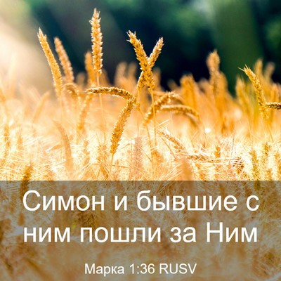Picture 03 - Марка 1:36 RUSV - Симон и бывшие с ним пошли - Bible Verse Picture