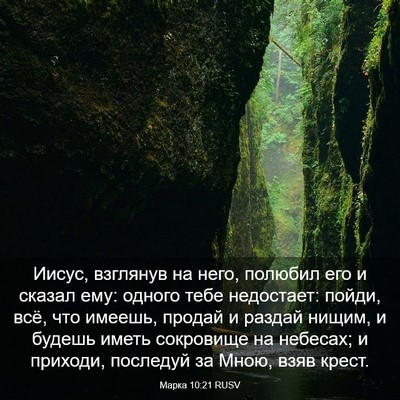 Picture 03 - Марка 10:21 RUSV - Иисус, взглянув на него, - Bible Verse Picture